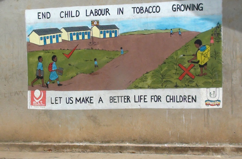 Advocacy to end child labour in tabcco growing areas in Hoima